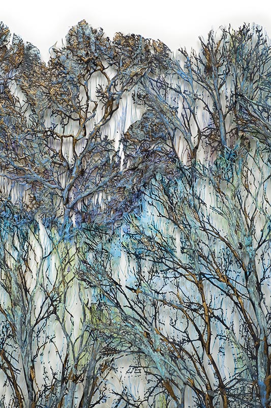 Click to Return to HOME page