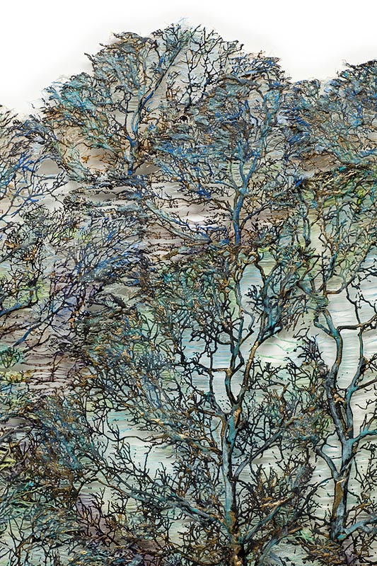 Click to Return to HOME page