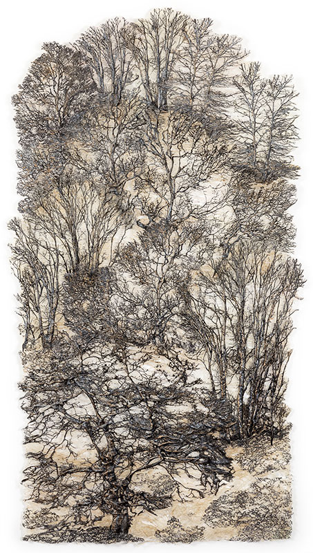 Click to Return to HOME page