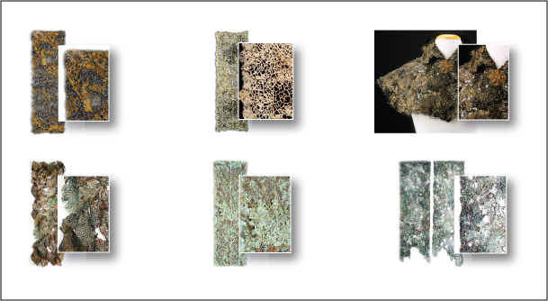 LAce Cloth Series Thumbnails