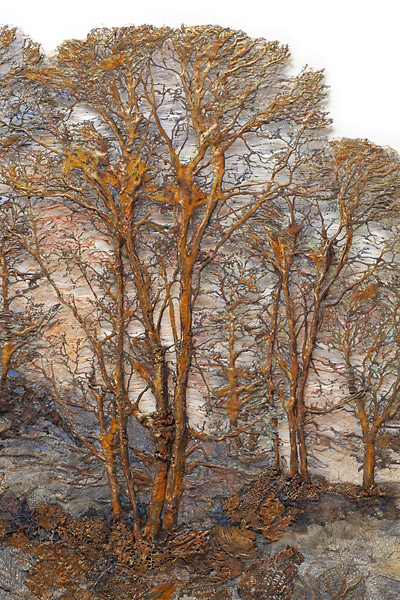 Click to return to Main Page