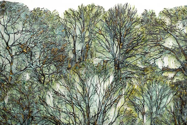 Click to return to Main page