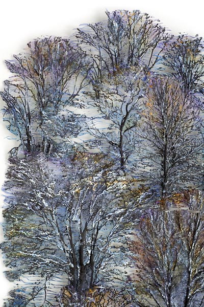 Click to Return to HOME page