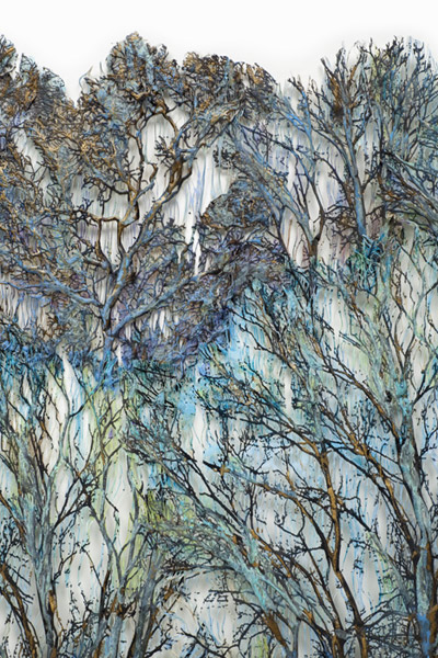 Click to return to Main Page