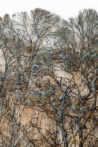 Click to return to Main Page