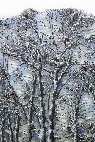 Click to return to Main Page