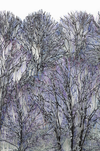 Click to return to Main Page