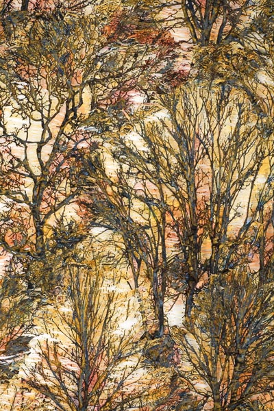 Click to return to Main Page