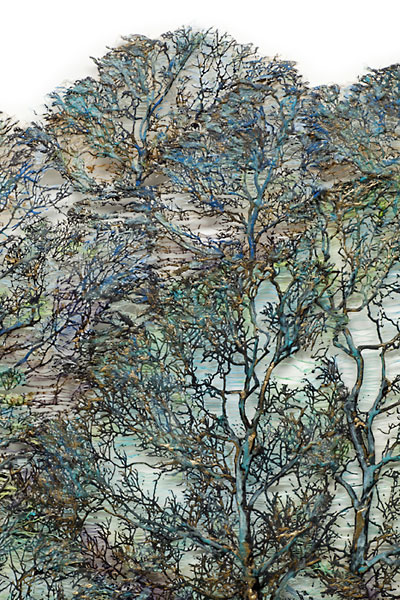 Click to return to Main Page