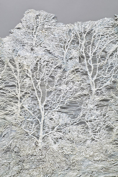 Click to return to Main Page